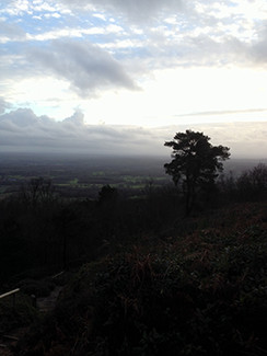 Leith Hill View